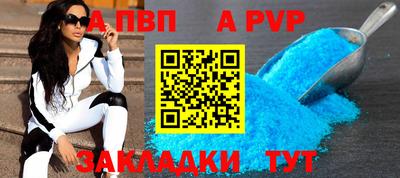 бошки Кингисепп