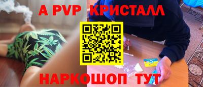 бошки Кингисепп