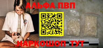 бошки Кингисепп