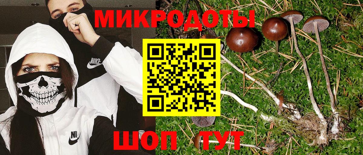 Галлюциногенные грибы ЛСД Усть-Илимск