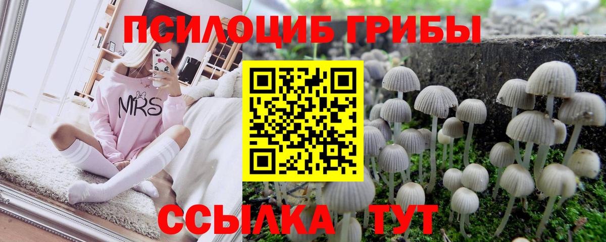 Псилоцибиновые грибы мухоморы  Псилоцибиновые грибы Psilocybine cubensis  купить наркотики цена  Вход с VPN  Усть-Илимск 